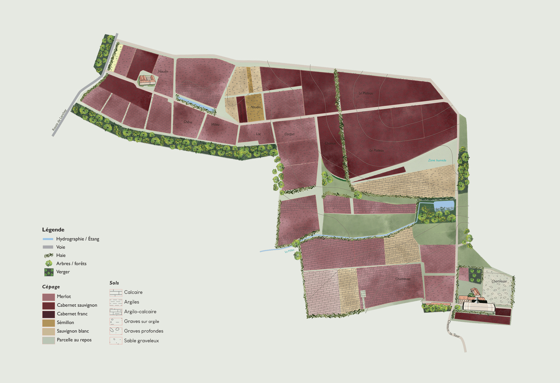 carte parcellaire