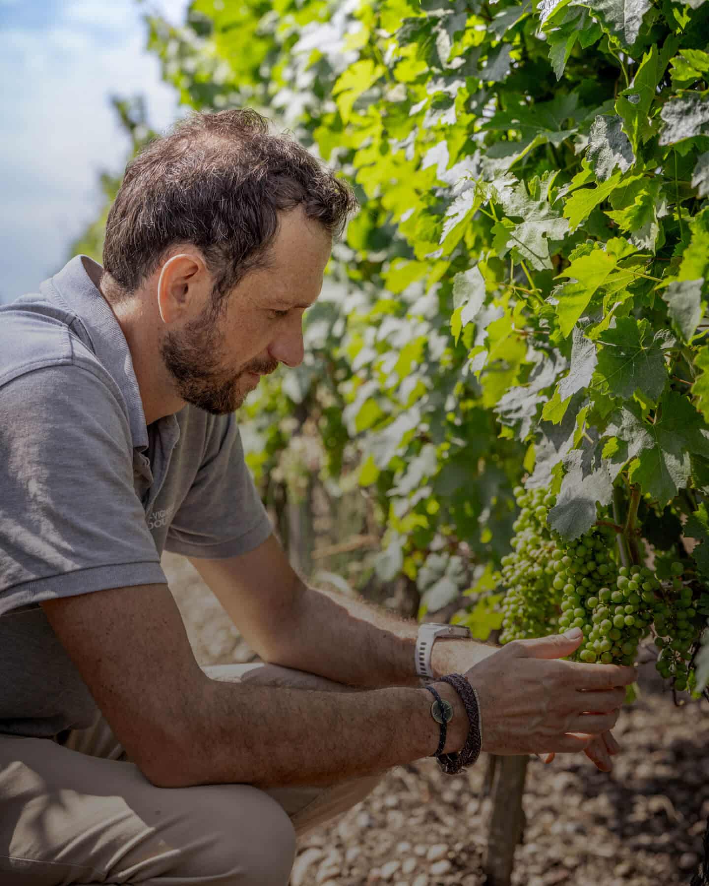 Pierre Estorges - Responsable viticole - Château La Garde - Pessac Leognan