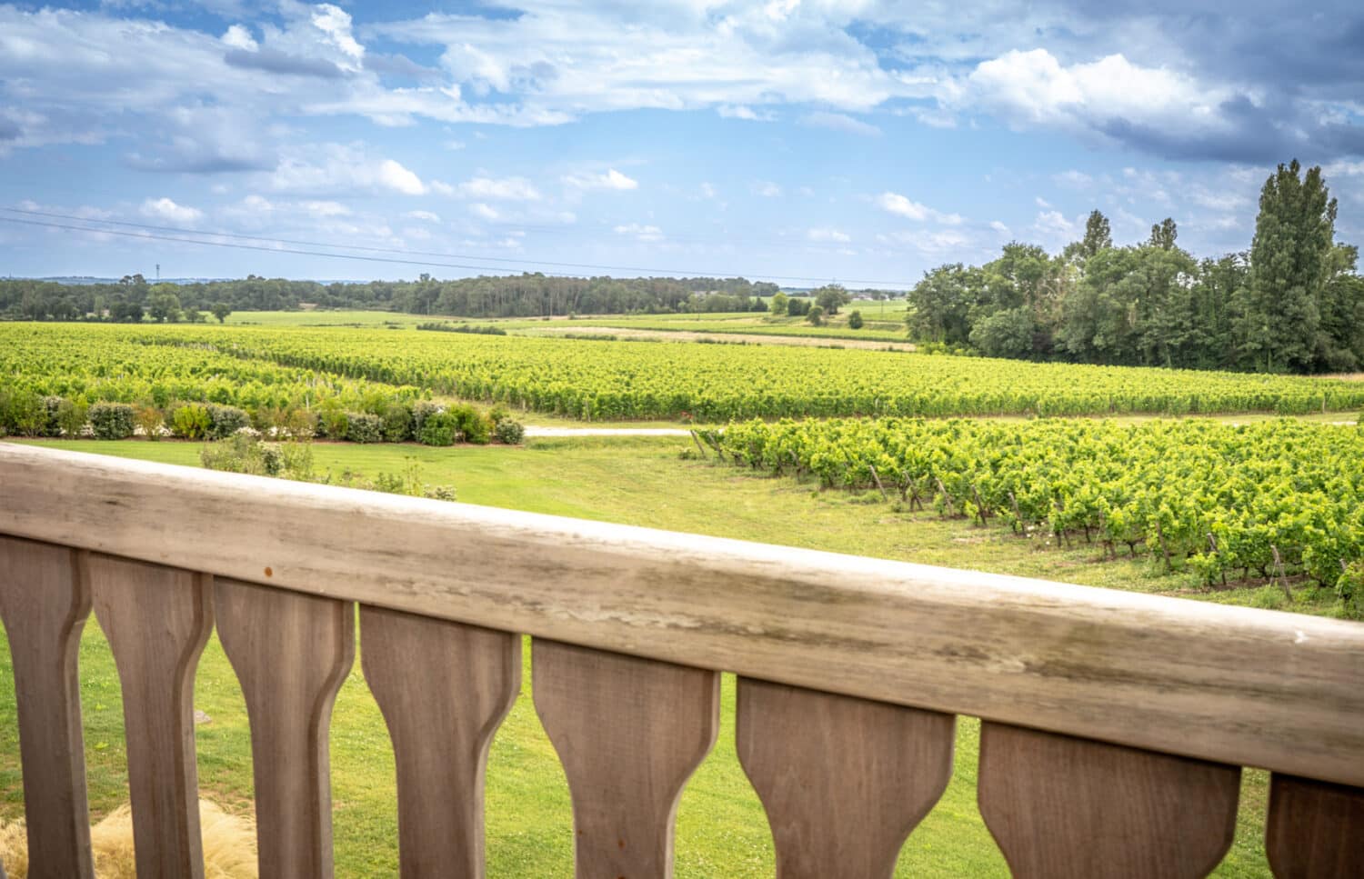 Chateau La Garde vignoble vue de la cratreuse